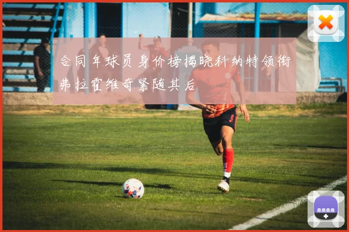 合同年球员身价榜揭晓科纳特领衔弗拉霍维奇紧随其后