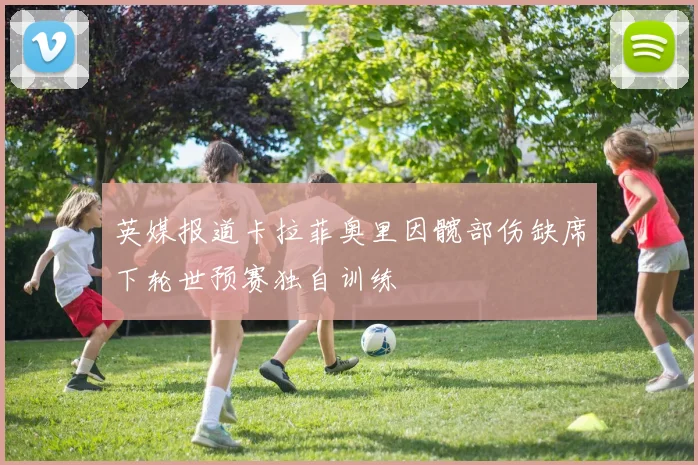 英媒报道卡拉菲奥里因髋部伤缺席下轮世预赛独自训练